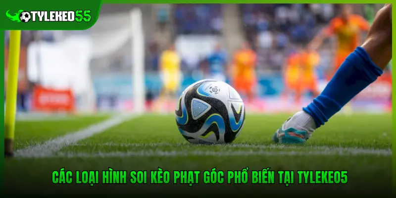 Các loại hình soi kèo phạt góc phổ biến tại Tylekeo5