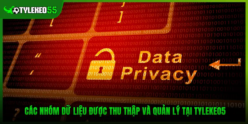 Các nhóm dữ liệu được thu thập và quản lý tại Tylekeo5
