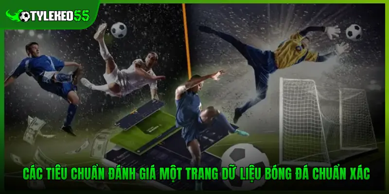 Các tiêu chuẩn đánh giá một trang dữ liệu bóng đá chuẩn xác