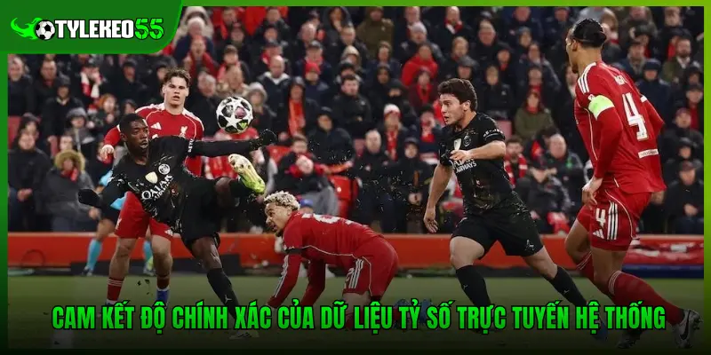 Cam kết độ chính xác của dữ liệu tỷ số trực tuyến hệ thống