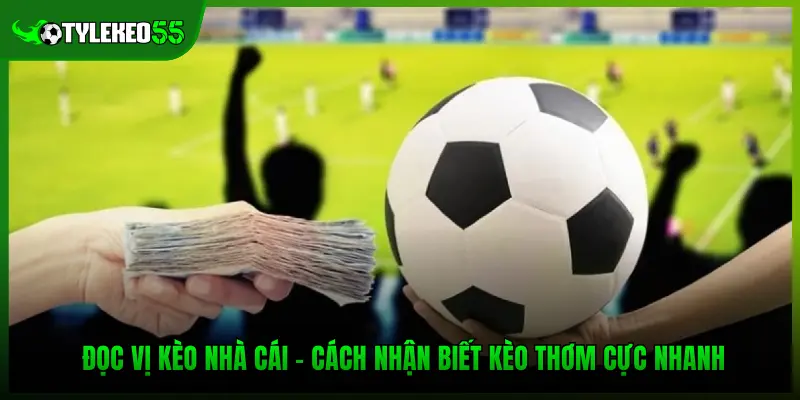 Đọc Vị Kèo Nhà Cái – Cách Nhận Biết Kèo Thơm Cực Nhanh