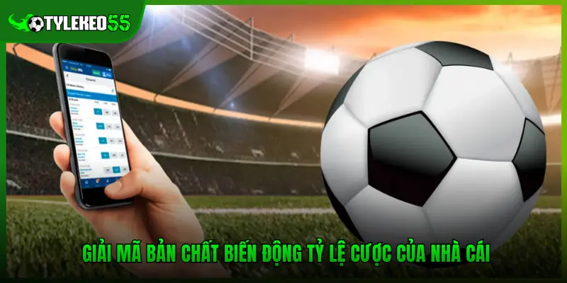 Giải mã bản chất biến động tỷ lệ cược của nhà cái