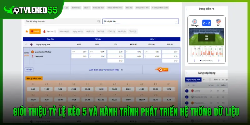 Giới thiệu tỷ lệ kèo 5 và hành trình phát triển hệ thống dữ liệu
