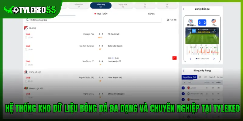 Hệ thống kho dữ liệu bóng đá đa dạng và chuyên nghiệp tại Tylekeo