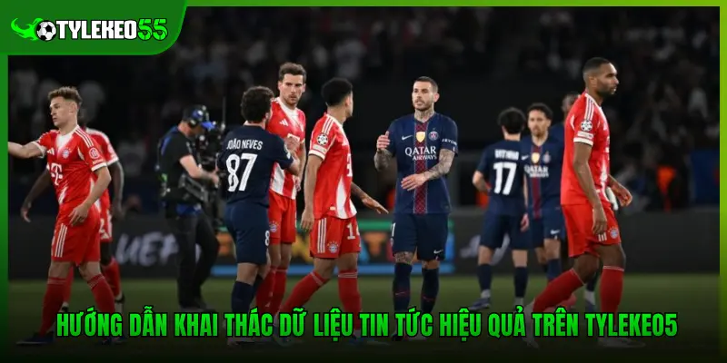 Hướng dẫn khai thác dữ liệu tin tức hiệu quả trên Tylekeo5