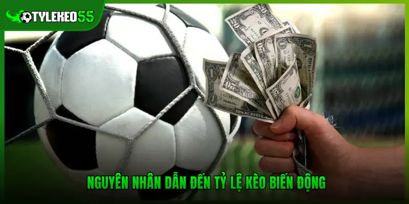Nguyên nhân dẫn đến tỷ lệ kèo biến động 