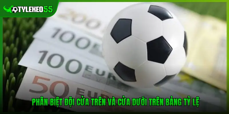 Phân biệt đội cửa trên và cửa dưới trên bảng tỷ lệ