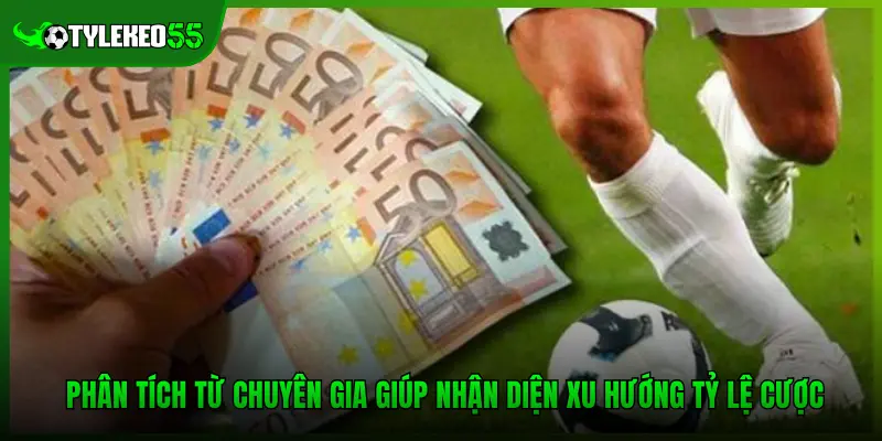 Tỷ Lệ Soi Kèo Tại Tylekeo55.com.mx Chính Xác Đến Mức Nào? 4 Phân tích từ chuyên gia giúp nhận diện xu hướng tỷ lệ cược
