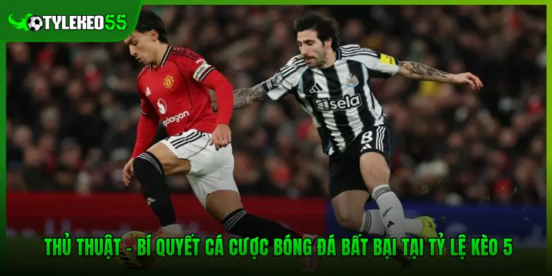 Thủ Thuật - Bí Quyết Cá Cược Bóng Đá Bất Bại Tại Tỷ lệ kèo 5